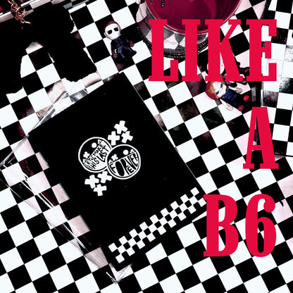 like a b6 journal + PVC clear cover add on